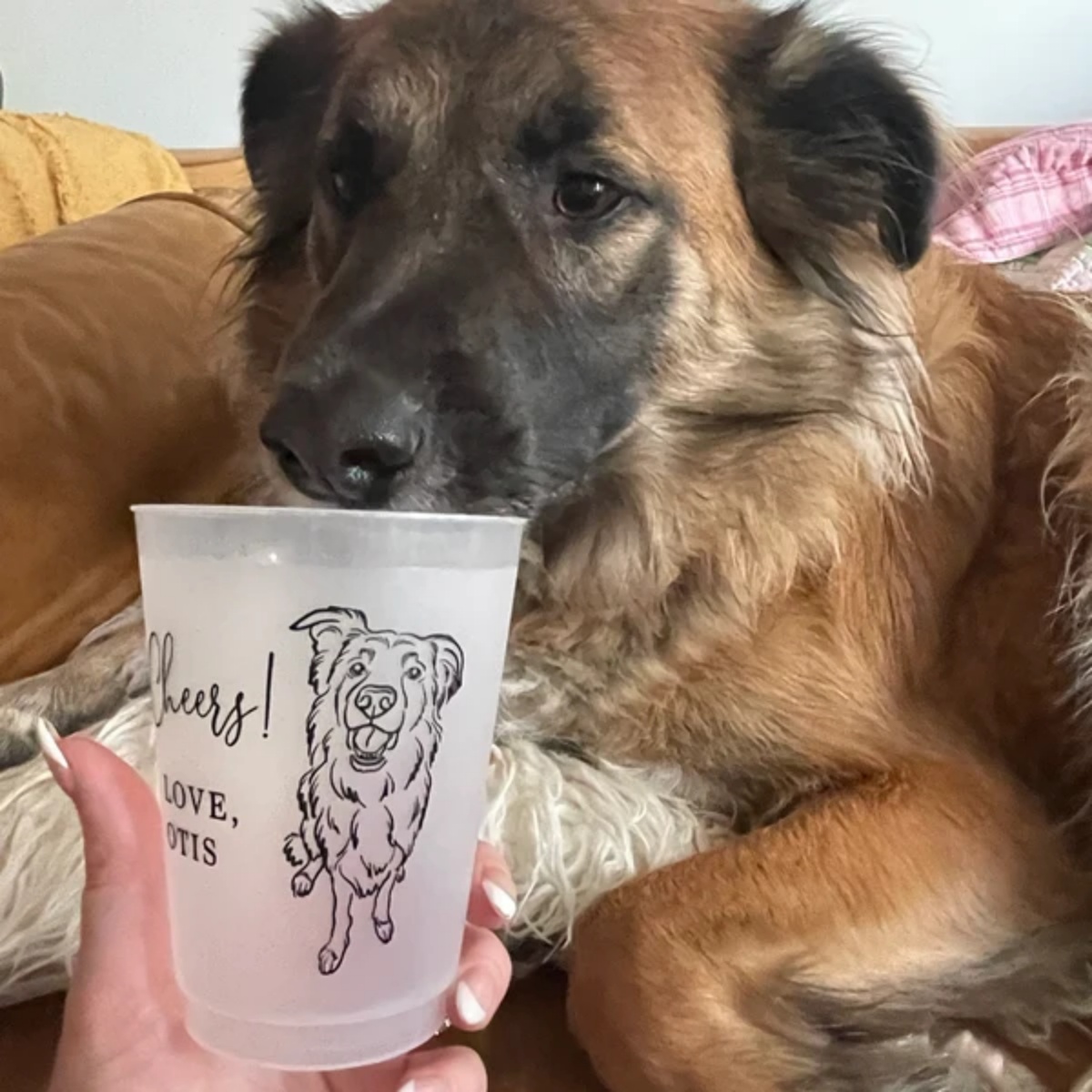 10/50 Personalized Senior Phot - Plastic Cup 50Pcs 评论和价格